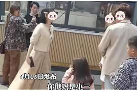 淮滨调查公司：非婚生子女与婚生子女的法律地位是同等吗